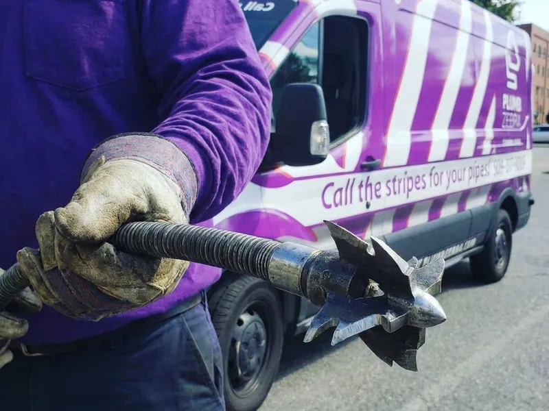 Step-by-step root removal service spokane wa process